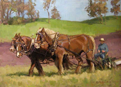 Amish3HorsePlow